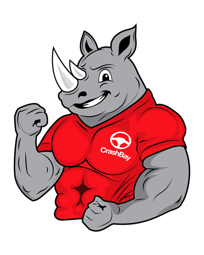 CrashBay Mascot